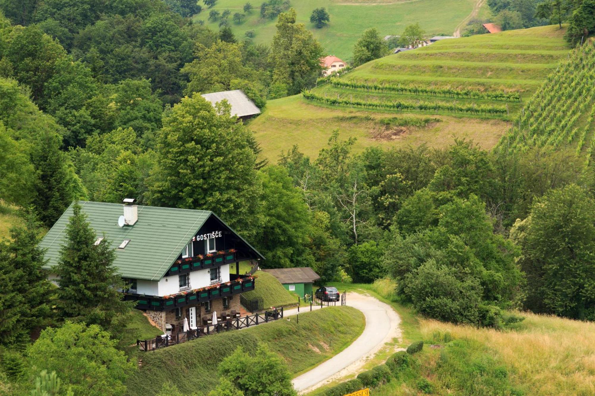 Pod Orehi Guest House Loče pri Poljčanah Zewnętrze zdjęcie